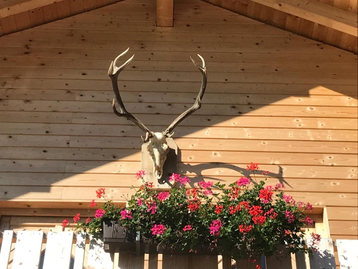 Alpenlodge Kirchbach Kirchbach  Exterior foto